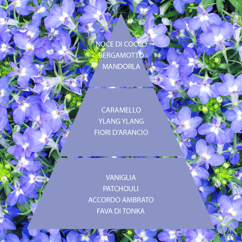 L'amande Bagno doccia Fiori di Zaffiro Moda