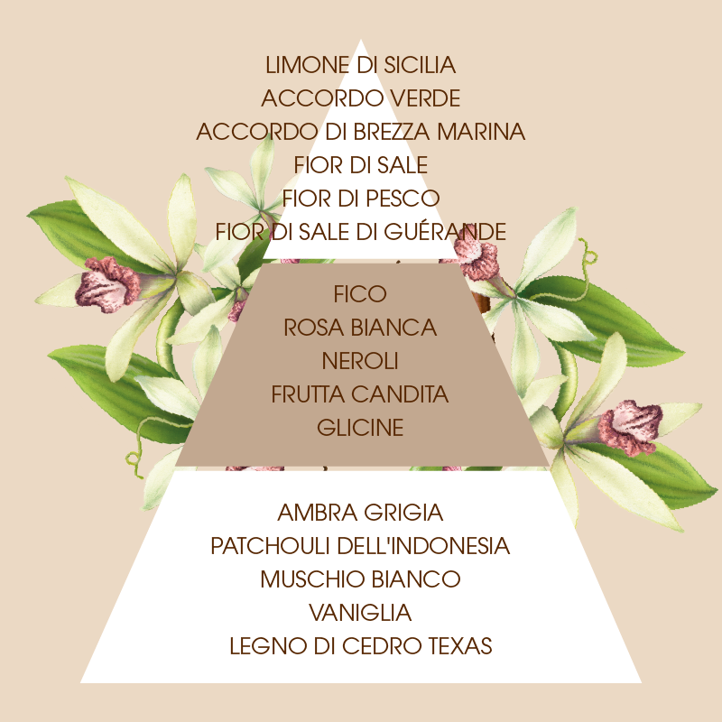 L'amande Doccia schiuma Fleur de Sel & Vanille Nuovo