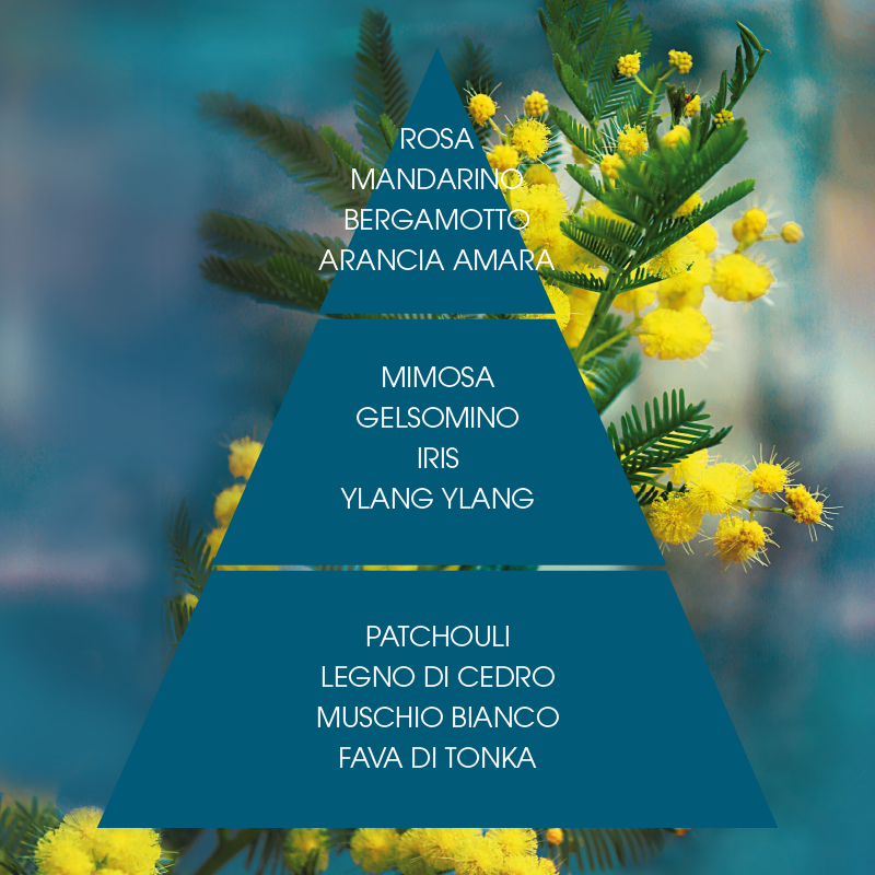 L'amande Acqua profumata Mimosa suprema Vendita Economica