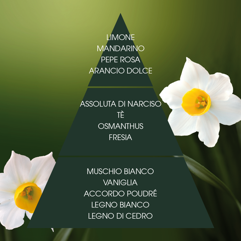 L'amande Sapone profumato Narciso supremo Negozio
