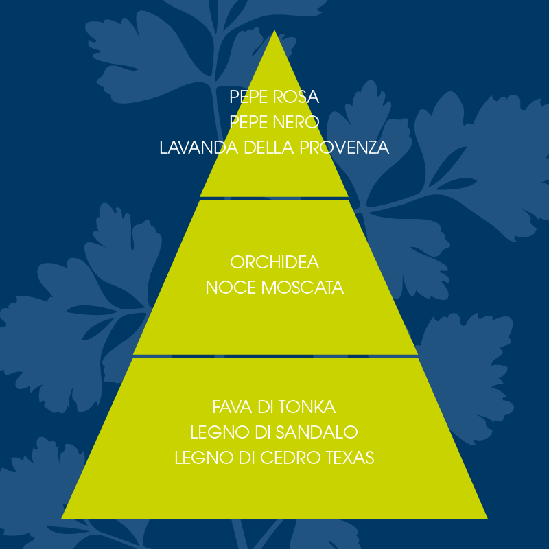 L'amande Shampoo doccia Coriandolo Moda