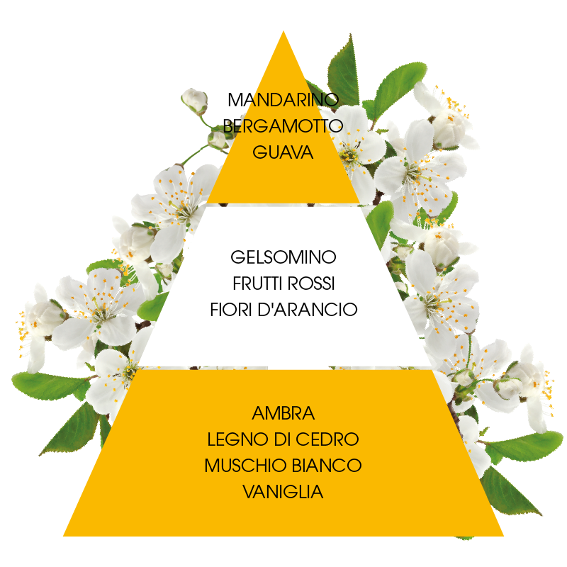 L'amande Profumatore per ambiente Fiori di ciliegio Negozi Online