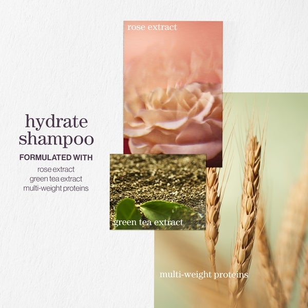 Pureology Pureology Hydrate Shampoo 266ml Sottocosto