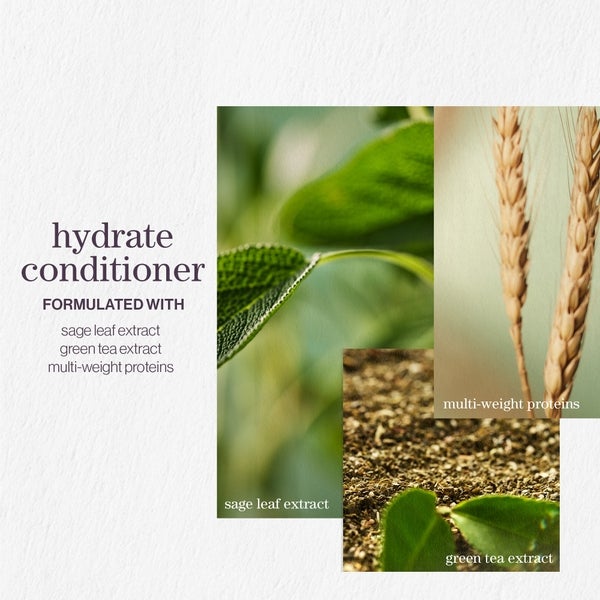 Pureology Pureology Hydrate Shampoo and Conditioner Moisturising Bundle for Dry Hair Sulphate Free for a Gentle Cleanse Rilascio limitato