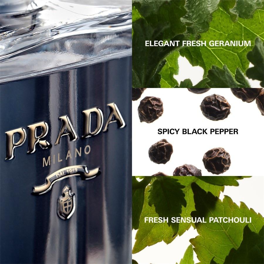 Prada L'Homme Eau de Toilette Spray Bestseller